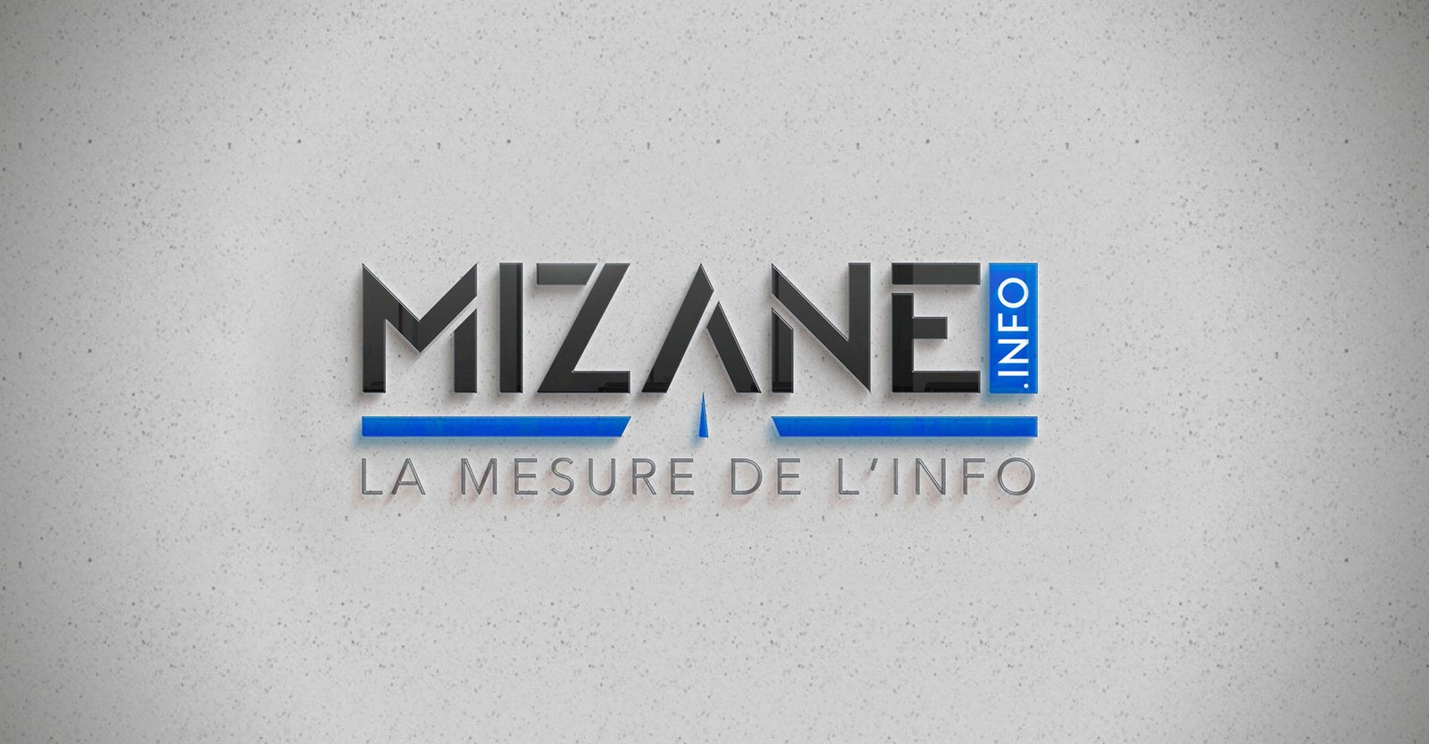 Enseigne lumineuse Mizane - Signalétique commerciale création graphiste Cholet