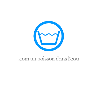 com1 poissson